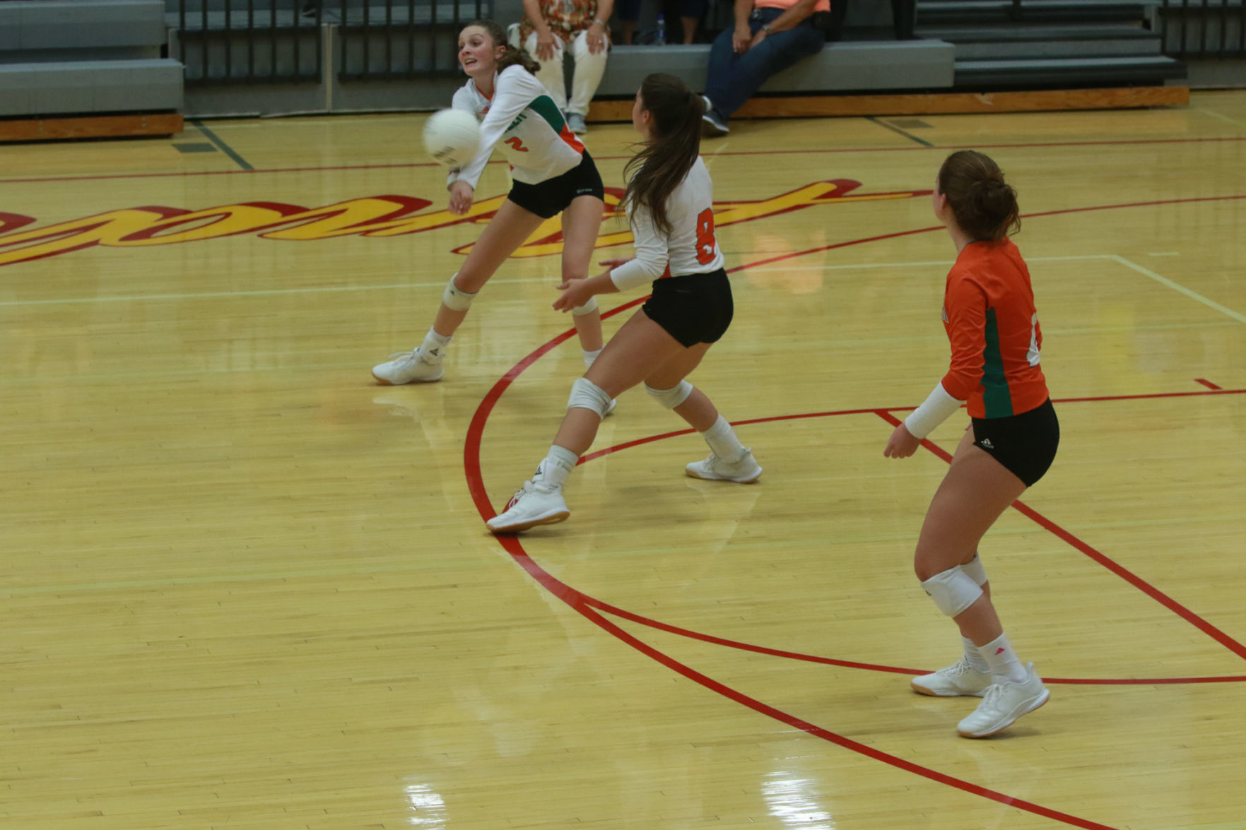 Gallery: Girls volleyball - Wheeler at Andrean